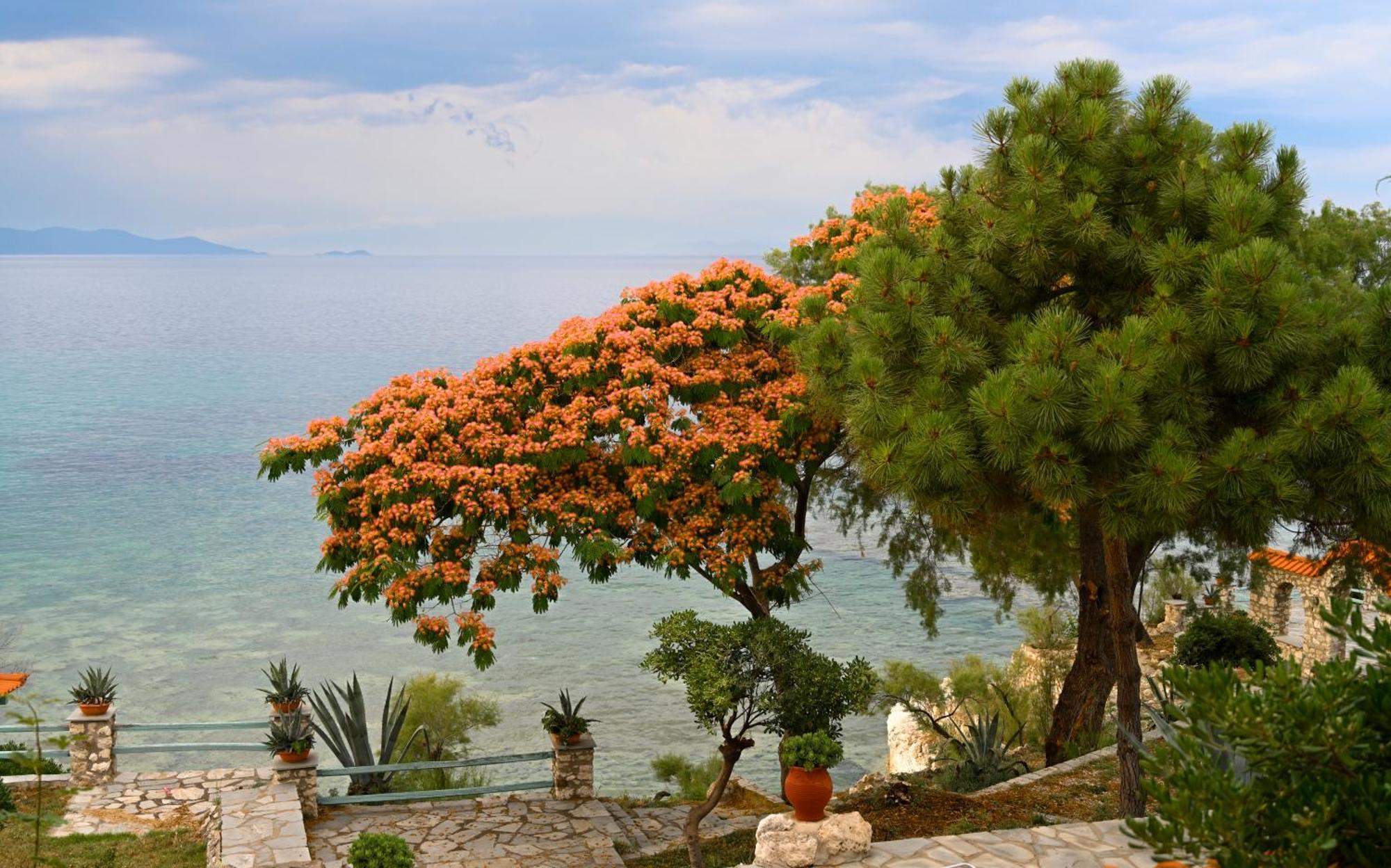 Kiparissi Villa Halkidiki Ієрісос Екстер'єр фото